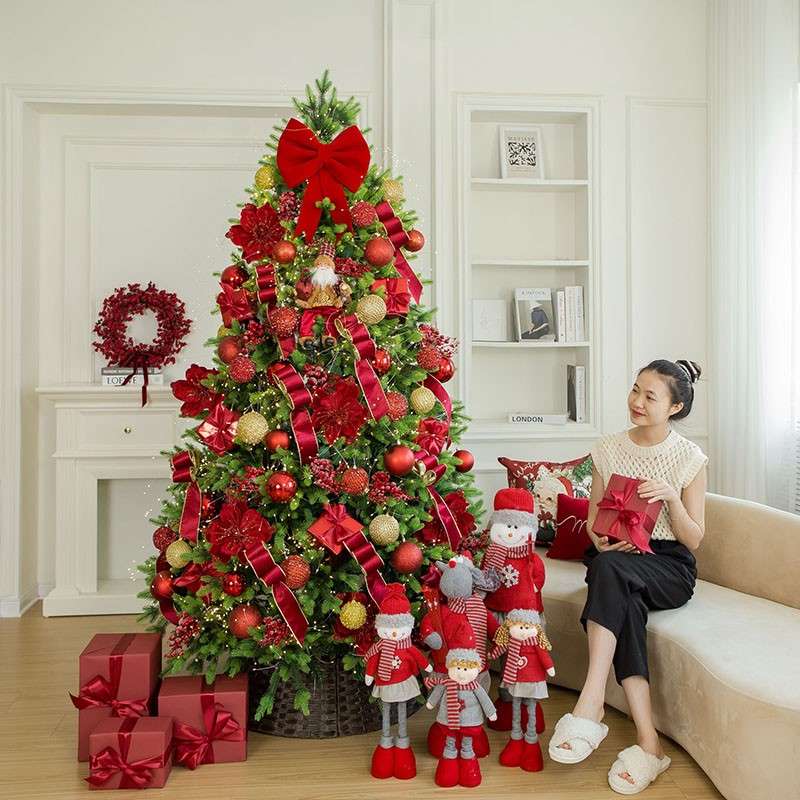 Cho Thuê Cây Thông Noel Tại Bình Phước. Ảnh 2 Cho Thuê Cây Thông Noel Tại Bình Phước. Ảnh 2